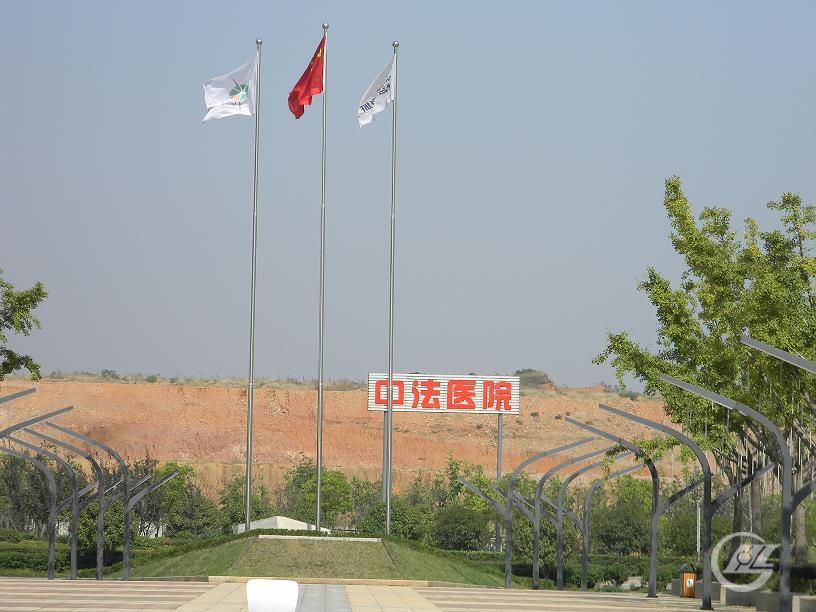 d7 d7